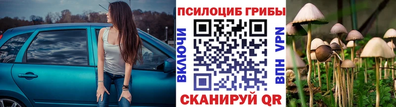 Купить  Семилуки  Галлюциногенные грибы MAGIC MUSHROOMS 